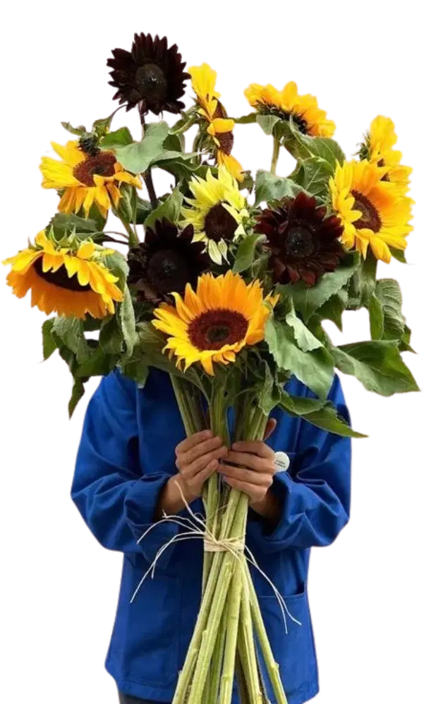 Les ateliers de créations florales par Désirée.