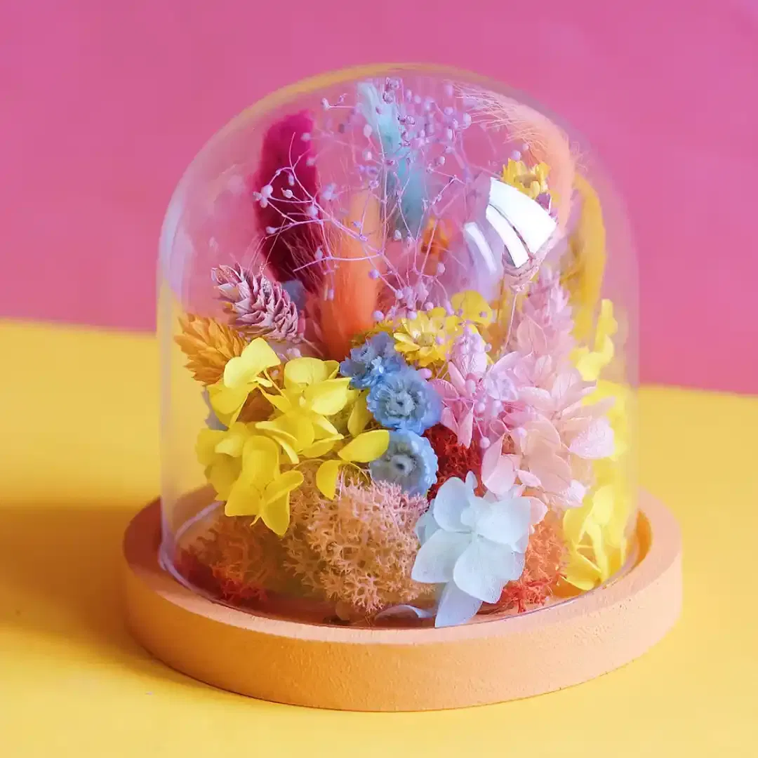 Petite cloche de fleurs séchées
Dimensions : ø 12 cm x H 12 cm
Rose, orange, jaune, bleu, mauve & fuchsia avec un socle orange peint à la main