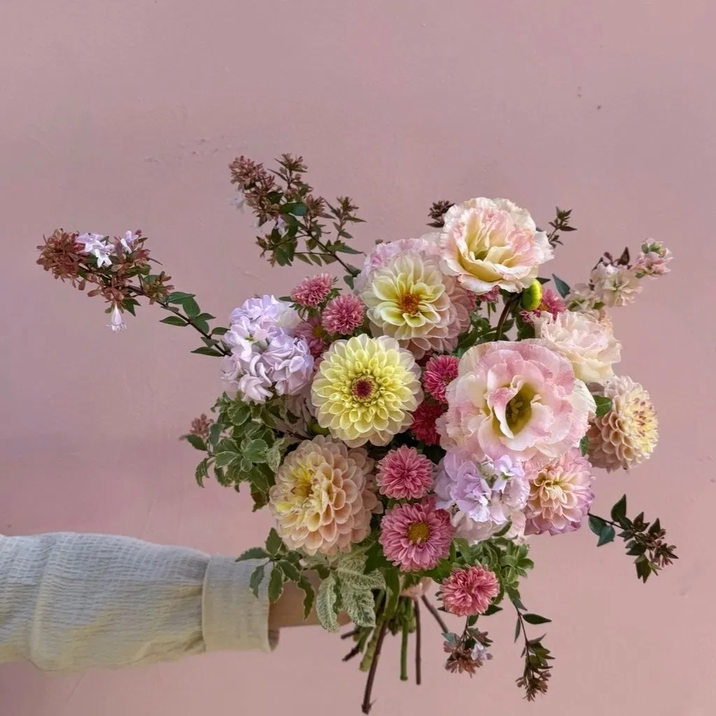 Ce mois-ci, Désirée vous propose un bouquet composé d'un mélange de généreux dahlias , de reines marguerite, de giroflées sélectionnés chez nos producteurs d'Île de France et de lisianthus du Var. Pour le moment, Désirée livre exclusivement Paris intra-muros et la banlieue limitrophe. Les photos illustrent la taille "gros". Les couleurs peuvent varier en fonction de l'arrivage.