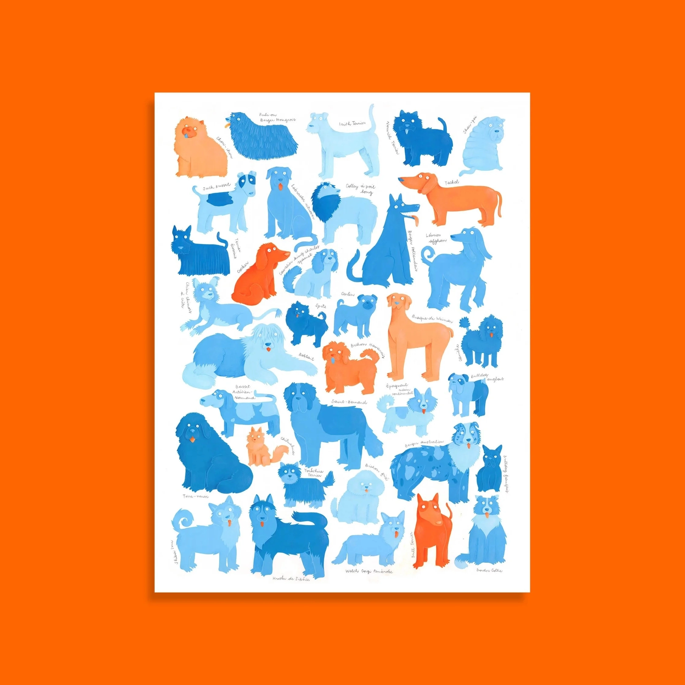 Affiche Toutous tout doux 50x70 cm