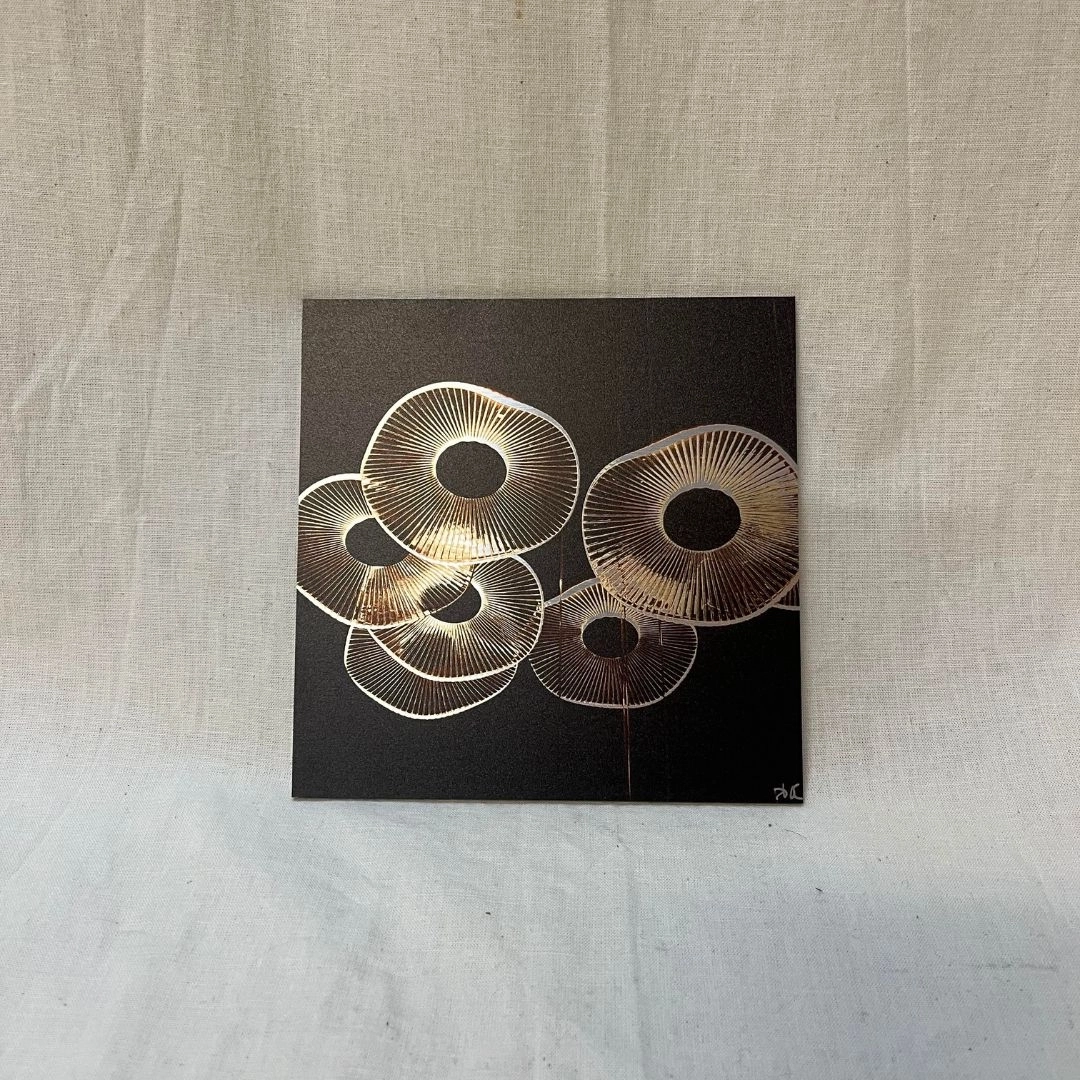 Les méduses (15x15) Photo d’un lustre dans un restaurant à Saint-Malo qui rappelle des méduses ou des champignons, nommée pour ajouter un effet ludique.