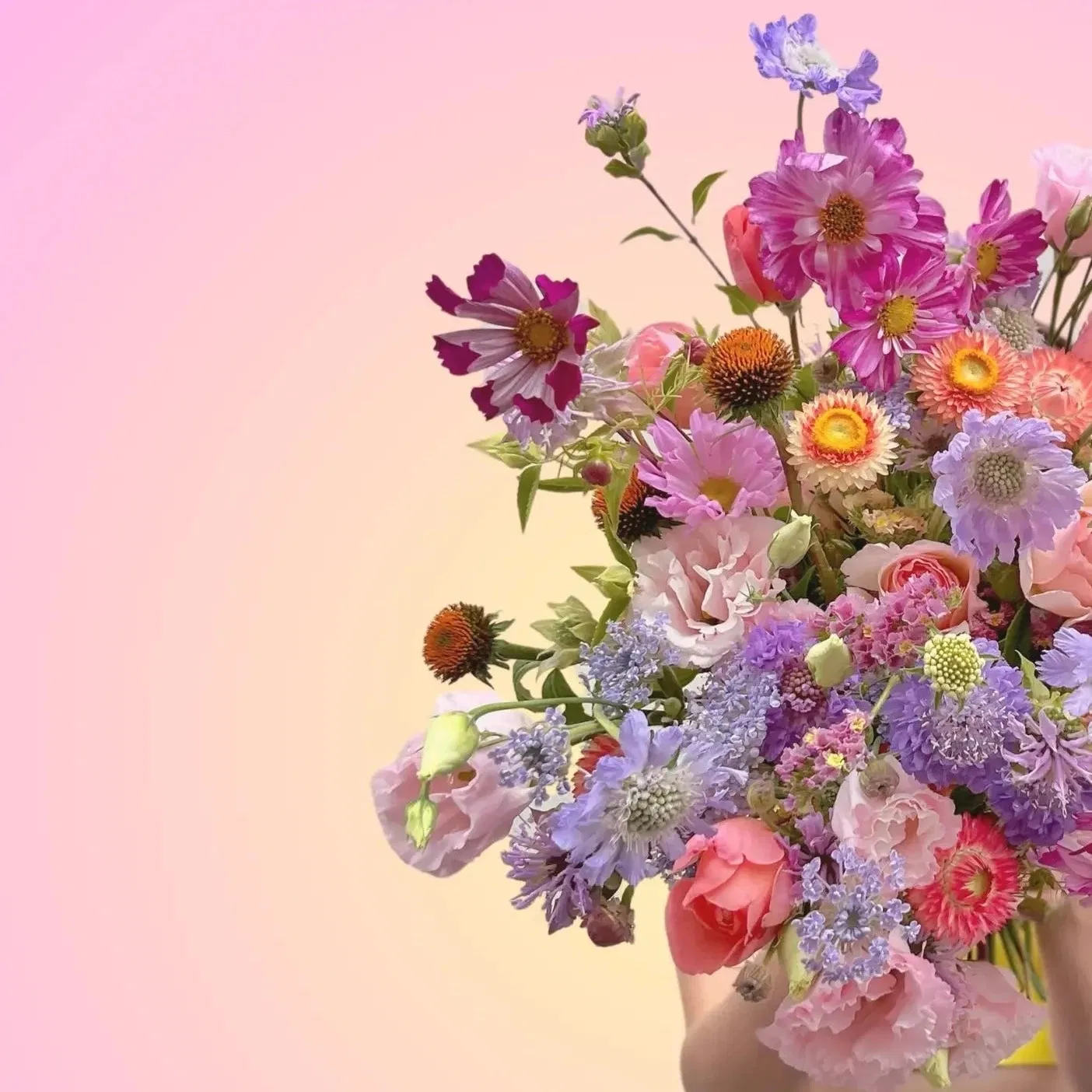 Offrez un abonnement bouquet Désirée ! Mode d'emploi : vous saisissez votre commande et choisissez la date de première livraison qui marque le début de l'abonnement . Ensuite, on s'occupe de tout ! Nous livrons le premier bouquet avec un joli calendrier des fleurs de saison et une petit carte décrivant l'abonnement. Après livraison du premier bouquet surprise, nous prenons contact avec chaque destinataire pour discuter de ses goûts, dates et créneaux de livraison préférés. L'heureux.se destinataire reçoit ensuite un bouquet toutes les deux semaines pendant la durée choisie. A quel rythme le bouquet est-il livré ? Le bouquet d'abonnement est livré toutes les deux semaines afin d'être toujours fleuri.e ! L'abonnement est modulable : il est tout à fait possible de le suspendre ou de le décaler , en cas de vacances par exemple. Comment se passe la livraison ? Le tarif sélectionné comprend toutes les livraisons. La personne à qui est destiné le bouquet est systématiquement contactée la veille de la livraison pour s'assurer de sa présence et disponibilité . Mais ne vous inquiétez : la surprise est conservée jusqu'au dernier moment car nous ne dévoilons pas qu'il s'agit d'un bouquet de fleurs ! Avec nos livreurs à vélo chevronnés, le bouquet arrive en moins de 2 heures au domicile du destinataire. Vase en option, mais d'où vient-il? Nos vases sont tournés et émaillés à la main par une entreprise familiale en Normandie . Depuis 4 générations, cette entreprise est spécialisée dans la fabrication de poterie en grès. Pour cet abonnement, nous avons sélectionné une de leur création aux dimensions spécialement adaptées aux bouquets : 2 0 cm hauteur / 10 cm largeur. Ce vase est disponible en deux couleurs : blanc et mocha . Pièces uniques , ces vases en céramique peuvent présenter de légères variations de couleur et de taille ainsi que des petites imperfections qui attestent de leur fabrication artisanale. Matière vivante, le grès ne doit pas être mis en contact direct avec les matières sensibles à l'humidité (bois par exemple).