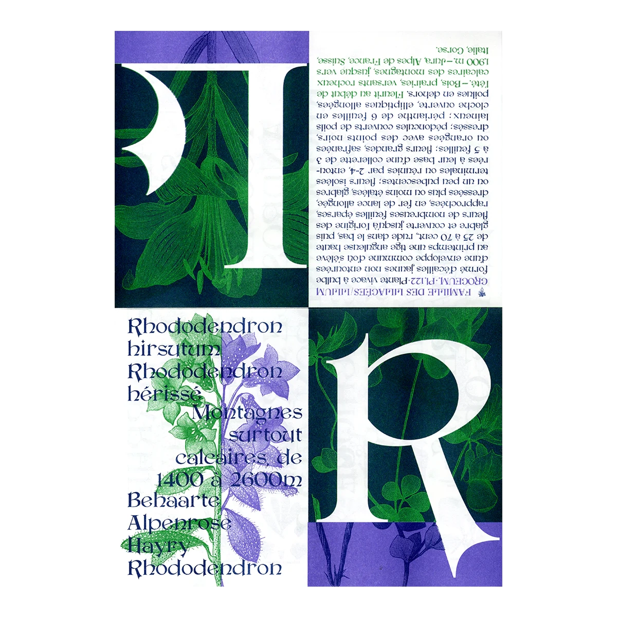 Atlas Display - Déborah Schmitt