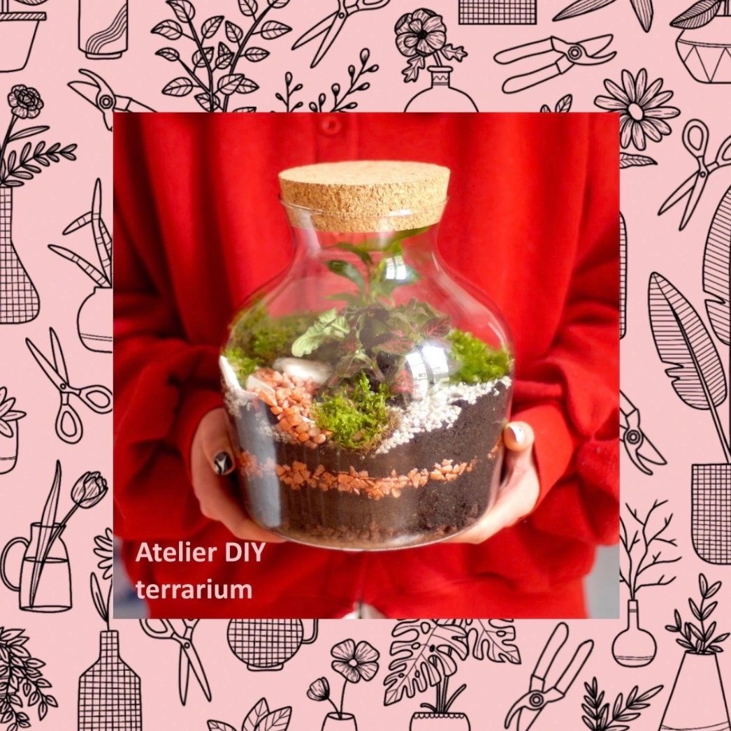 Atelier DIY Terrarium