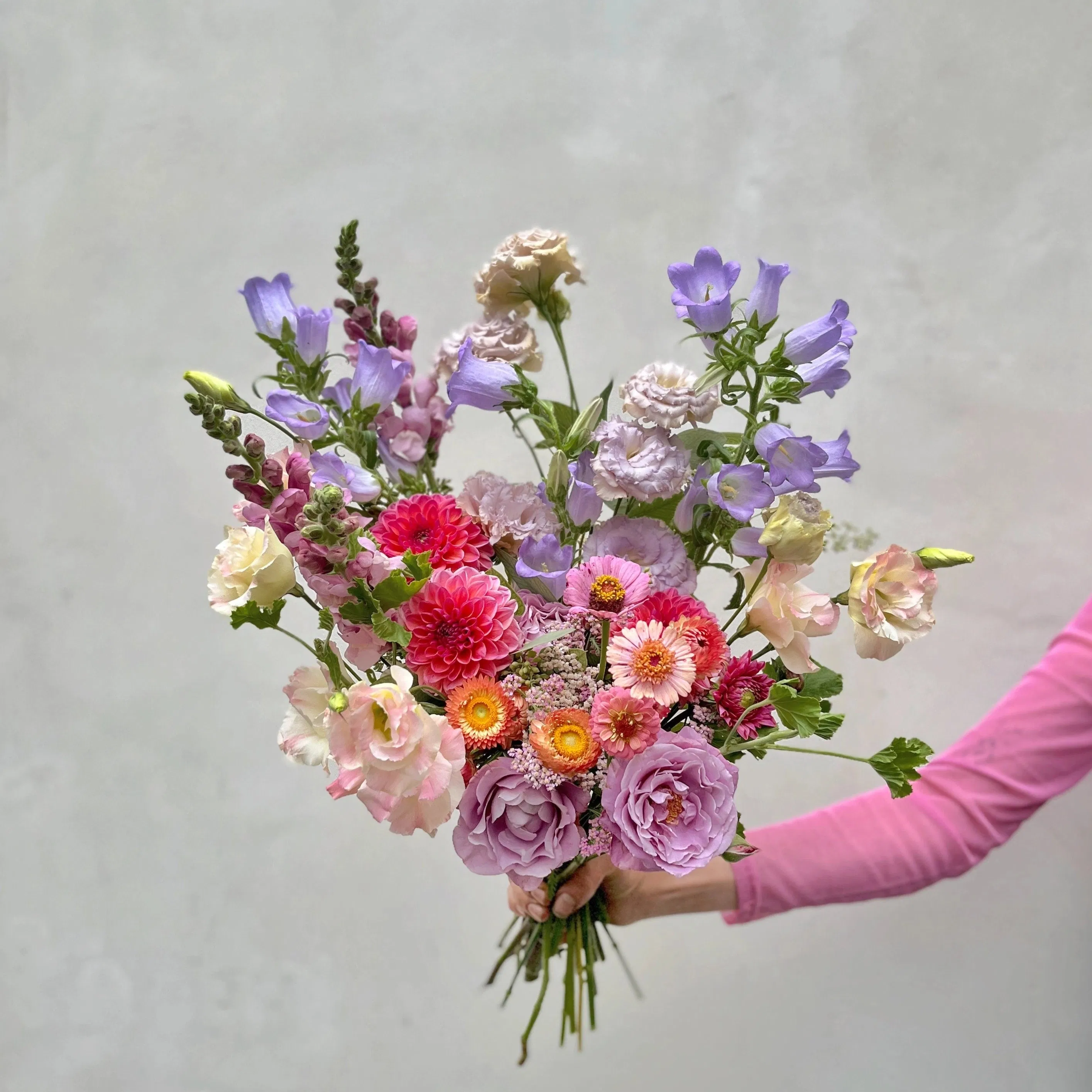 Pour le moment, Désirée livre exclusivement Paris intra-muros et la banlieue limitrophe. Toutes les photos de bouquets illustrent la taille "beaucoup". Les variétés de fleurs et la bouteille sélectionnée varient selon nos arrivages. Une livraison 100% garantie Une livraison aux petits oignons, ça ne s'improvise pas : chez Désirée, les destinataires sont systématiquement contactés (mais sans dire qu'ils vont recevoir un bouquet ni bien sûr de qui ça vient) pour nous assurer de leur présence et éviter les échecs de livraison. Vous avez une demande spécifique (couleurs, détails de livraison) ? Dites-nous tout dans le champ "commentaires" de la page panier ! Tous vos petits mots sont écrits à la main par de vrais humains, et nous mettons un point d'honneur à réaliser le bouquet de vos rêves en fonction des occasions ! Du vin et des fleurs écoresponsables Un accord surprise entre un vin pétillant sélectionné par notre caviste Valentin de la Fermentation Générale et un bouquet de fleurs de saison conçu spécialement pour accompagner la bouteille ! Des fleurs aux couleurs qui pétillent, oscillant entre le lilas et le corail et qui accompagneront délicieusement un verre de pet'nat. L'accord bouquet - vin pétillant se compose d'une bouteille de vin d'une valeur de 20€ et d'un bouquet de la taille de votre choix (à partir de 55€). La vente d'alcool est interdite aux mineurs - l'abus d'alcool est dangereux pour la santé - à consommer avec modération. Une envie d'en savoir plus sur notre démarche ? Découvrez les engagements de Désirée, fleuriste écoresponsable !