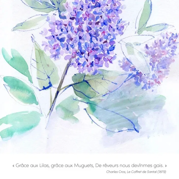 Illustration d’un motif inspiré des Lilas du Jardin, imprimée sur une beau papier Modigliani texturé 250g, au format A4, avec une citation de Charles Cros « Grâce aux lilas, grâce aux muguets, De rêveurs nous devînmes gais. ».
Vendue non encadrée