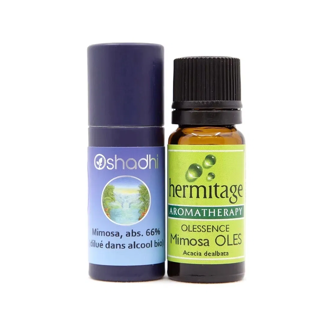 Absolue dans alcool et olessence Mimosa