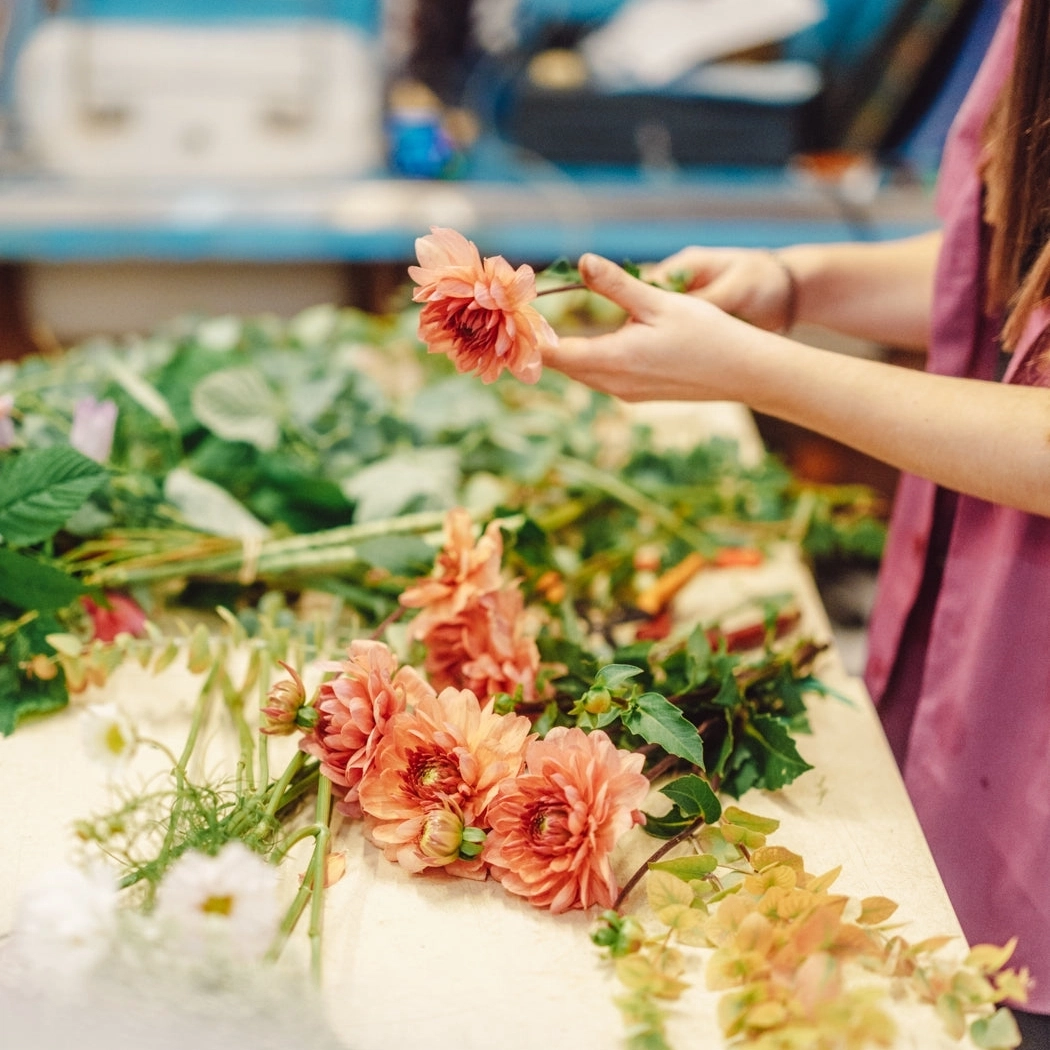 Le succès incroyable de nos cours du soir nous a donné l'envie d'imaginer un nouveau format : le même contenu condensé en 2 jours à baigner dans les fleurs ! Public du cours La classe est limitée à 8 personnes , afin que l’apprentissage soit le plus personnalisé possible et que chacun dispose d’un espace de travail suffisant. Le cours spécial pro propose un programme exceptionnel destiné aux professionnels (fleuristes et productrices / producteurs) dans lequel le cours sur les bijoux floraux est remplacé par un cours de théorie de l’art floral écoresponsable, assuré par Mathilde Bignon et Audrey Venant, les fondatrices de Désirée : Choix des accords de variétés, formes et couleurs pour composer des bouquets cohérents, et adaptation aux saisons des fleurs locales (cours valable pour construire un assortiment de fleurs ou pour aider à la planification d’une ferme florale) Contenants pour l’art floral écoresponsable : les choisir, les fabriquer. Ce stage est accessible aux personnes souhaitant se perfectionner et/ou découvrir des techniques alternatives aux méthodes traditionnelles (travail sans mousse florale, palettes de couleurs actuelles, étude des formes, volumes et textures). Thèmes, horaires et lieu des cours : Les cours se dérouleront sur un week-end complet pour un total de 12h dans notre studio floral situé 9 rue de la Folie Méricourt, Paris 11ème : Session exceptionnelle : Vendredi 14 novembre de 10h à 13h et de 14h à 17h Samedi 15 novembre de 9h à 13h et de 14h à 16h Contenu du stage (l'ordre des sessions peut être amené à évoluer) : Jour 1 matin partie 1 : théorie de l'art floral écoresponsable ; Jour 1 matin partie 2 : bouquet lié champêtre ; ce cours débutera par l’apprentissage d'une technique fondamentale - la “vrille” - à travers la confection d’un bouquet rythmé et en mouvement, de style champêtre. Nous aborderons également la façon dont nous concevons une palette de couleurs. Jour 1 après-midi : centre de table “à l’anglaise” ; avec ce type de composition de forme basse et allongée, nous découvrirons comment réaliser des compositions "piquées” sans mousse florale, grâce à des alternatives anciennes et écoresponsables. Jour 2 matin partie 1 : bouquet lié à face ; plus graphique et structuré, ce type de bouquet conçu comme un véritable élément de décoration nous permettra de mieux appréhender les lignes et les volumes. Ce cours sera aussi l'occasion d'approfondir la technique de la vrille. Jour 2 matin partie 2 : composition piquée à face ; travaillée plus en hauteur que le centre de table, cette composition est souvent disposée sur des lieux de réception. Elle nous offrira la possibilité de travailler sur les courbes, les tiges accidentées, atypiques, bref de jouer avec les fantaisies de la nature. Jour 2 après-midi : nuage de fleurs : un premier pas dans l’univers des suspensions florales et des grands décors ! Nous profiterons de ce stage intensif pour aborder des sujets qui sont pour nous transversaux : l'association des couleurs, le jeu des textures, des formes et des volumes. Nous vous apporterons évidemment des informations sur les fleurs utilisées et la garantie qu’elles ont été choisies avec soin et dans un souci de respect de l’environnement. Vous repartez avec vos créations et de précieux conseils pour pouvoir vous perfectionner quand le cœur vous en dit ! Matériel nécessaire pour le cours : Nous vous prêtons tout ce qui est nécessaire à la bonne réalisation de votre création pendant l'atelier et vous repartez bien sûr avec le fruit de votre travail. Nous vous remettrons également un petit carnet de bord que vous pourrez remplir tout au long du week-end. Calendrier des sessions prévues : Vendredi 14 et Samedi 15 novembre 2025 plus de séances à venir si le cours est rapidement complet Une question? Contactez-nous à bonjour@desireefleurs.fr