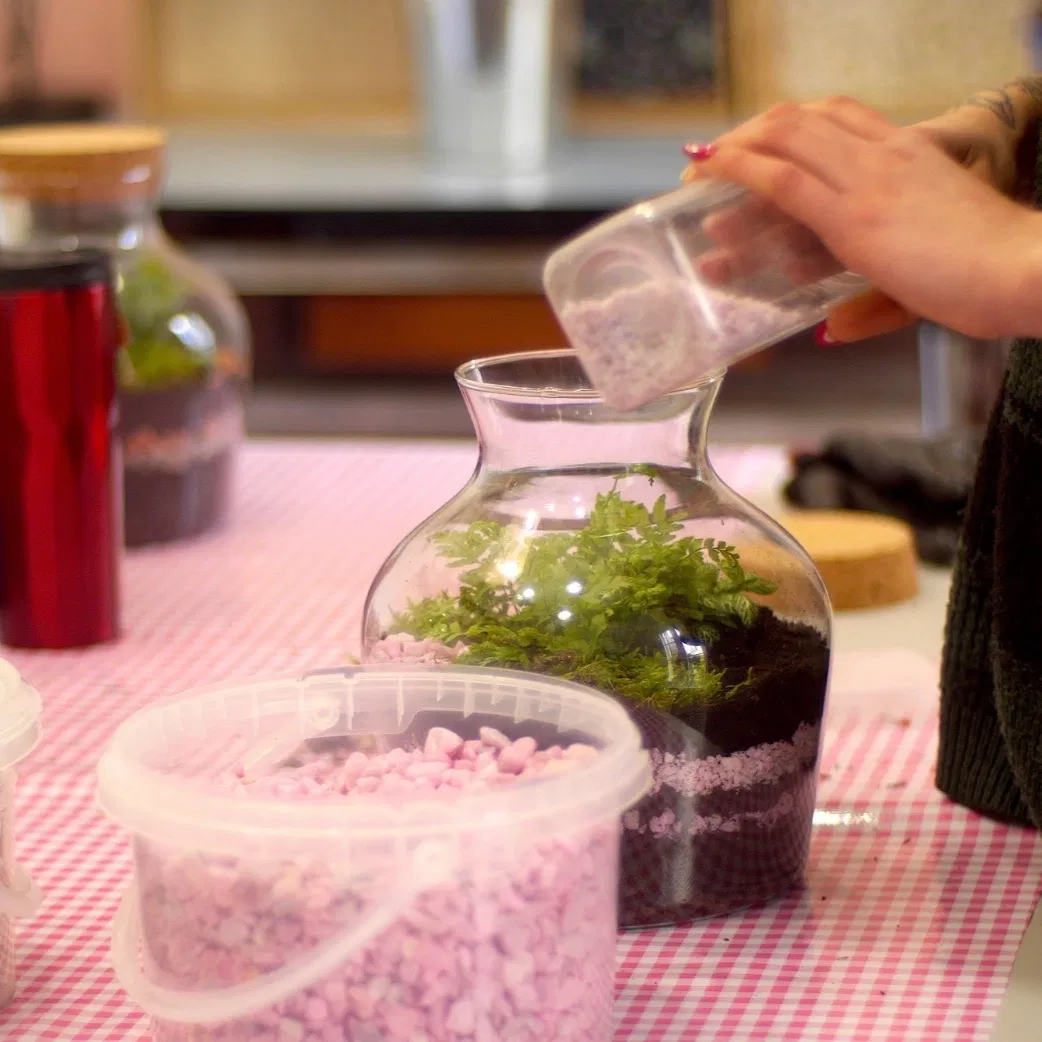 Atelier DIY Terrarium