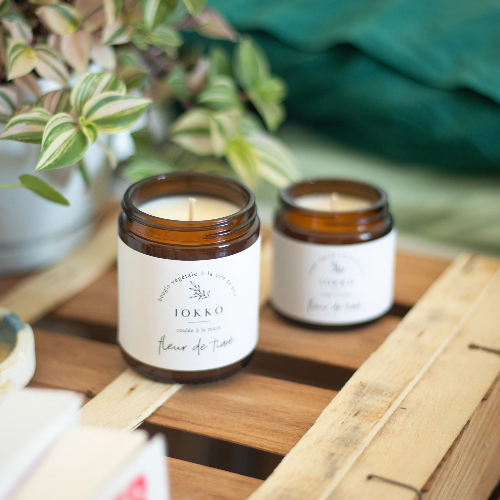 Bougie Parfumée Naturelle Fleur de tiaré - 3 tailles