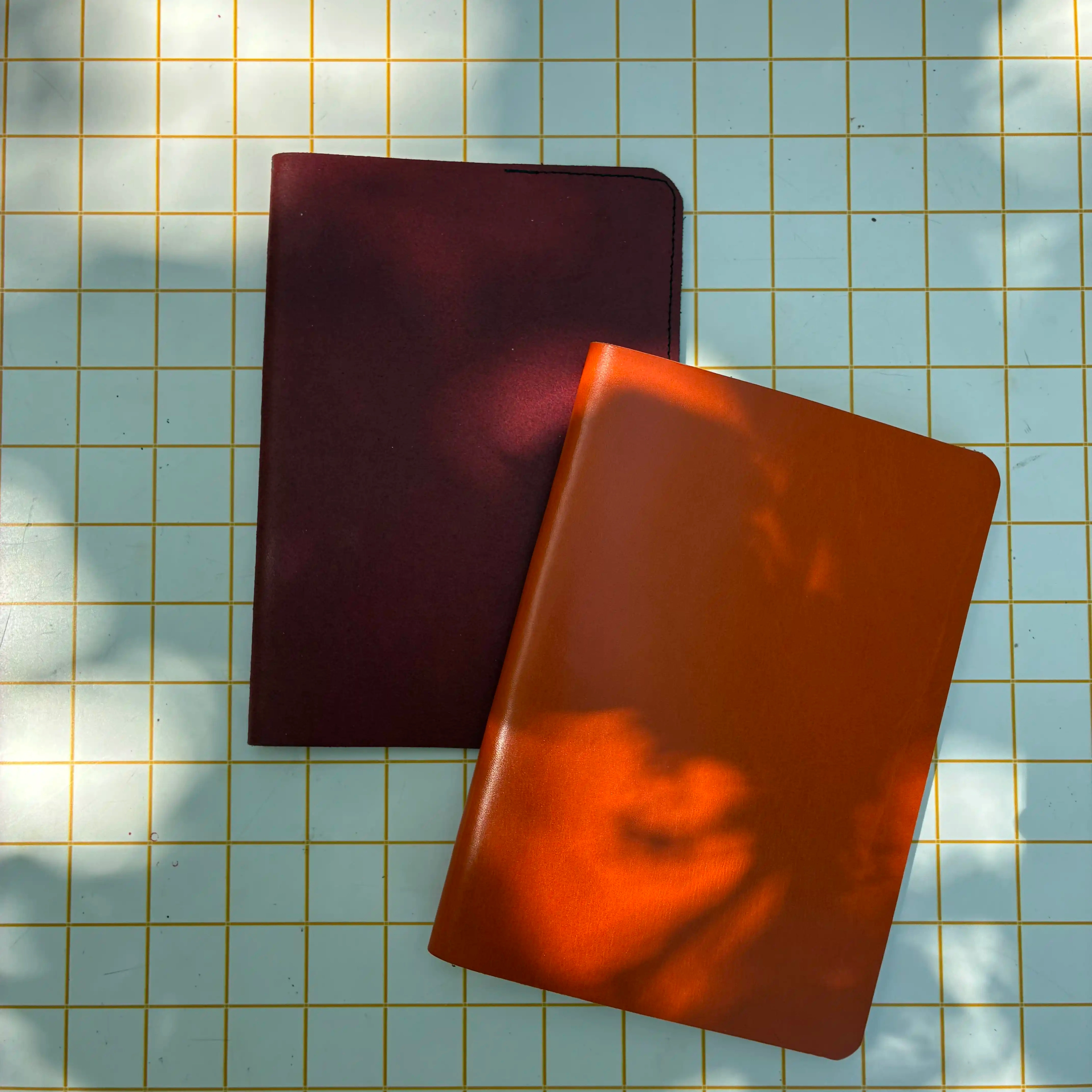 Étui à passeport
