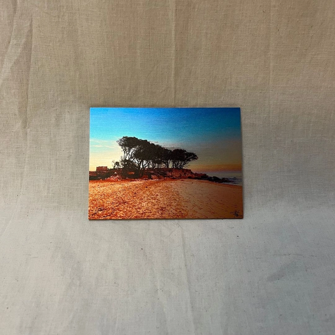 Noirmoutier (11x15) Prise sur une plage de Noirmoutier, présentant des arbres qui rappellent une savane malgré leur localisation en Bretagne.