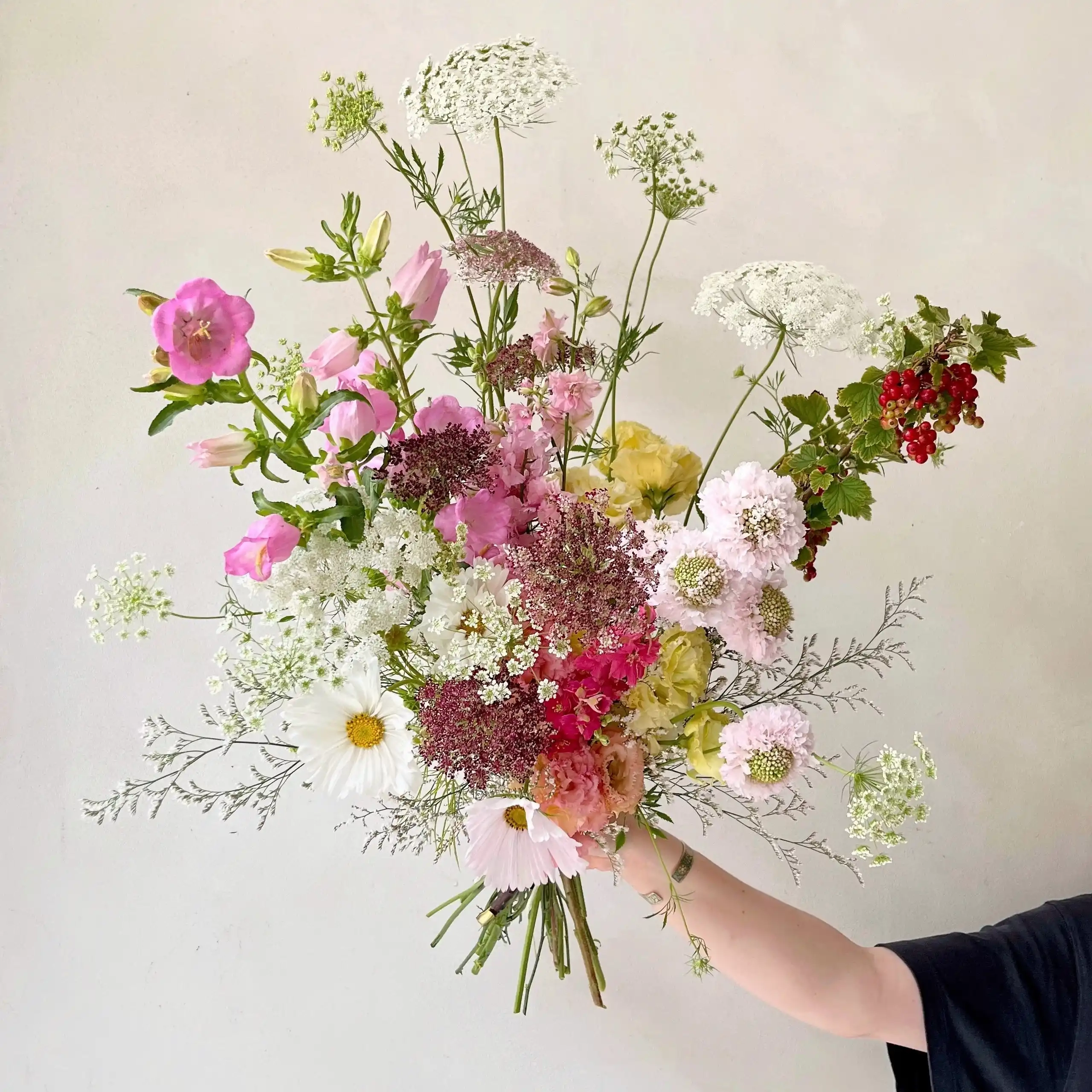 Pour le moment, Désirée livre exclusivement Paris intra-muros et la banlieue limitrophe. Toutes les photos de bouquets illustrent la taille "beaucoup". Les variétés de fleurs et la bouteille sélectionnée varient selon nos arrivages. Une livraison 100% garantie Une livraison aux petits oignons, ça ne s'improvise pas : chez Désirée, les destinataires sont systématiquement contactés (mais sans dire qu'ils vont recevoir un bouquet ni bien sûr de qui ça vient) pour nous assurer de leur présence et éviter les échecs de livraison. Vous avez une demande spécifique (couleurs, détails de livraison) ? Dites-nous tout dans le champ "commentaires" de la page panier ! Tous vos petits mots sont écrits à la main par de vrais humains, et nous mettons un point d'honneur à réaliser le bouquet de vos rêves en fonction des occasions ! Du vin et des fleurs écoresponsables Un accord exceptionnel entre un champagne sélectionné par notre caviste David de Substrats et un bouquet de fleurs de saison conçu spécialement pour accompagner la bouteille ! D es fleurs pétillantes aux couleurs tendres pour accompagner à la perfection une coupe de champagne. L'accord bouquet - champagne se compose d'une bouteille de champagne brut nature d'une valeur de 35€ et d'un bouquet de la taille de votre choix (à partir de 55€). La vente d'alcool est interdite aux mineurs - l'abus d'alcool est dangereux pour la santé - à consommer avec modération. Une envie d'en savoir plus sur notre démarche ? Découvrez les engagements de Désirée, fleuriste écoresponsable !