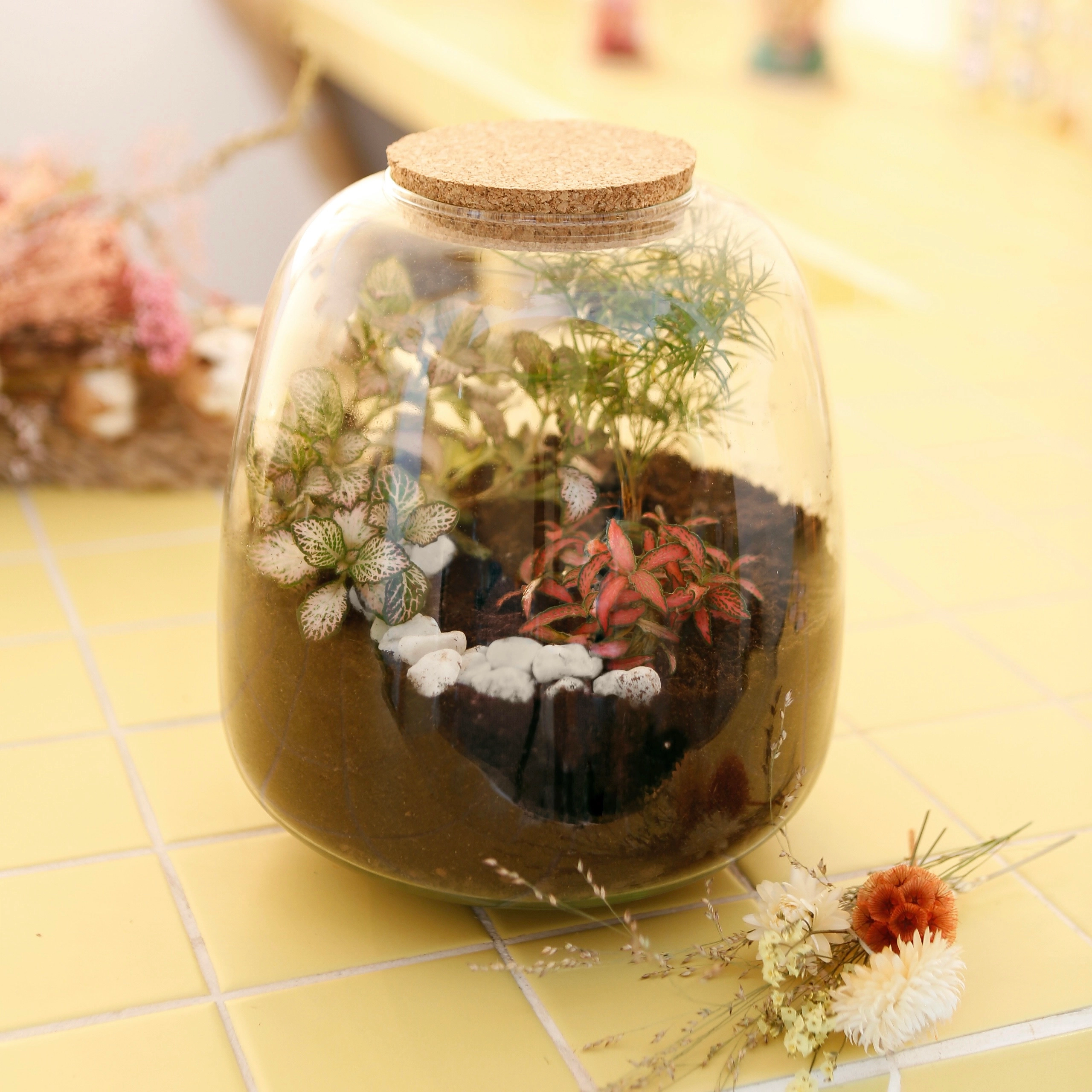 Terrarium