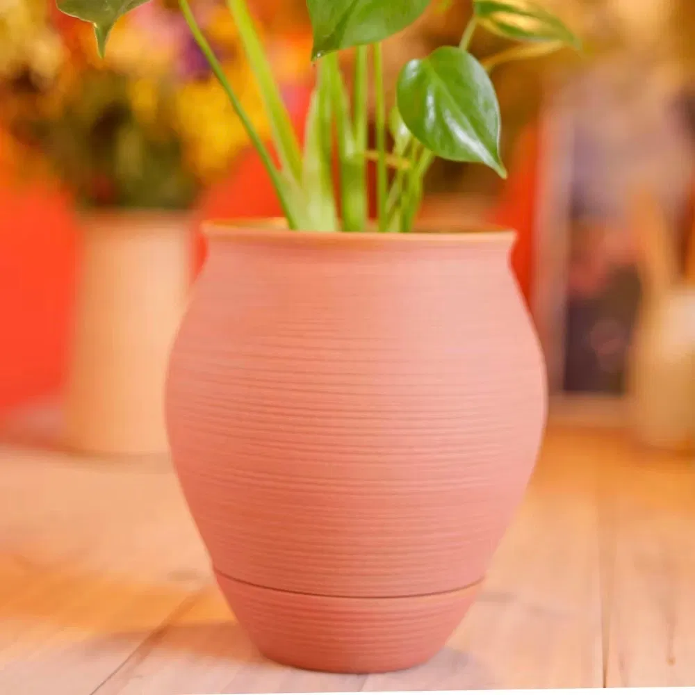 Sophie Marin - Pot à planter coupelle intégrée