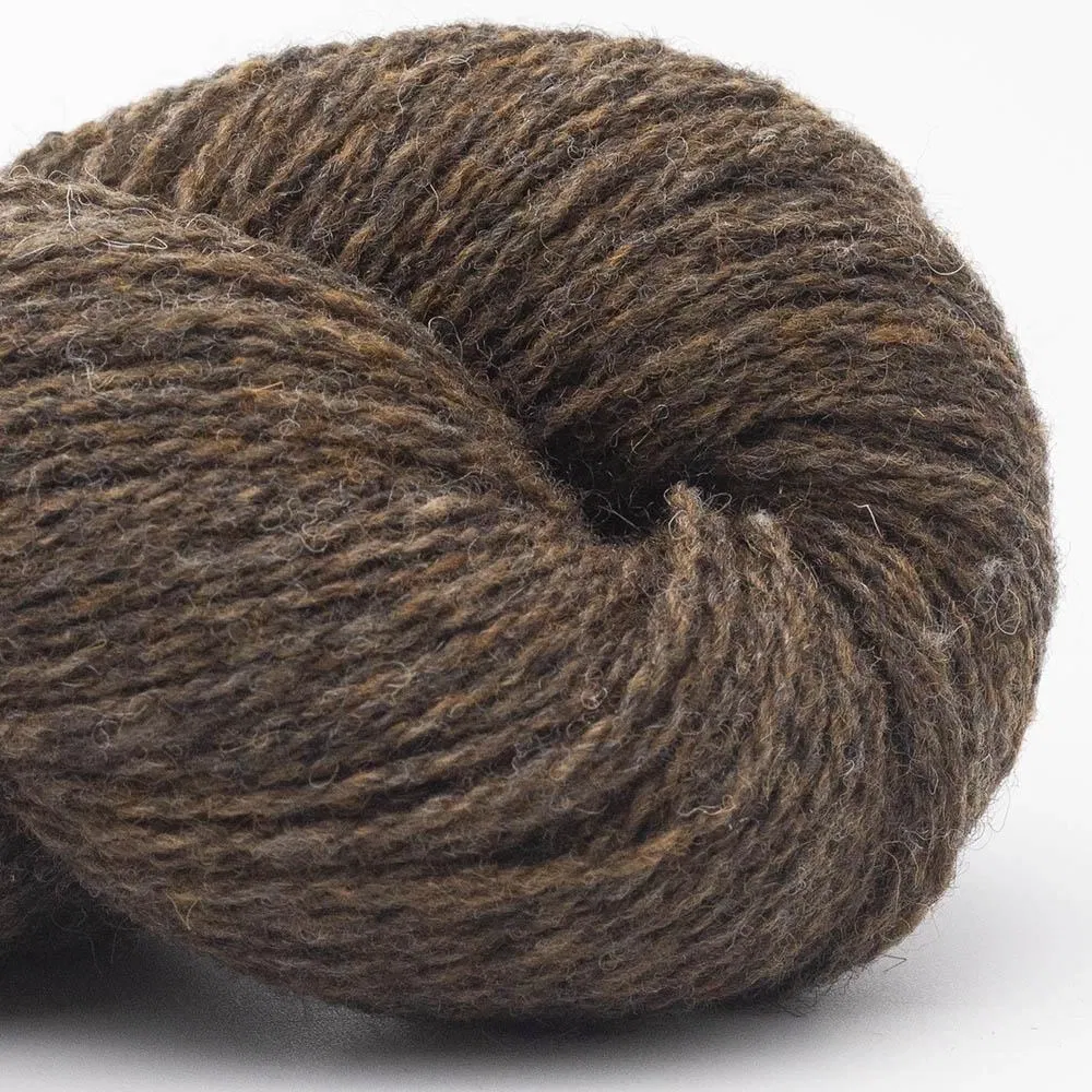 Bio Shetland