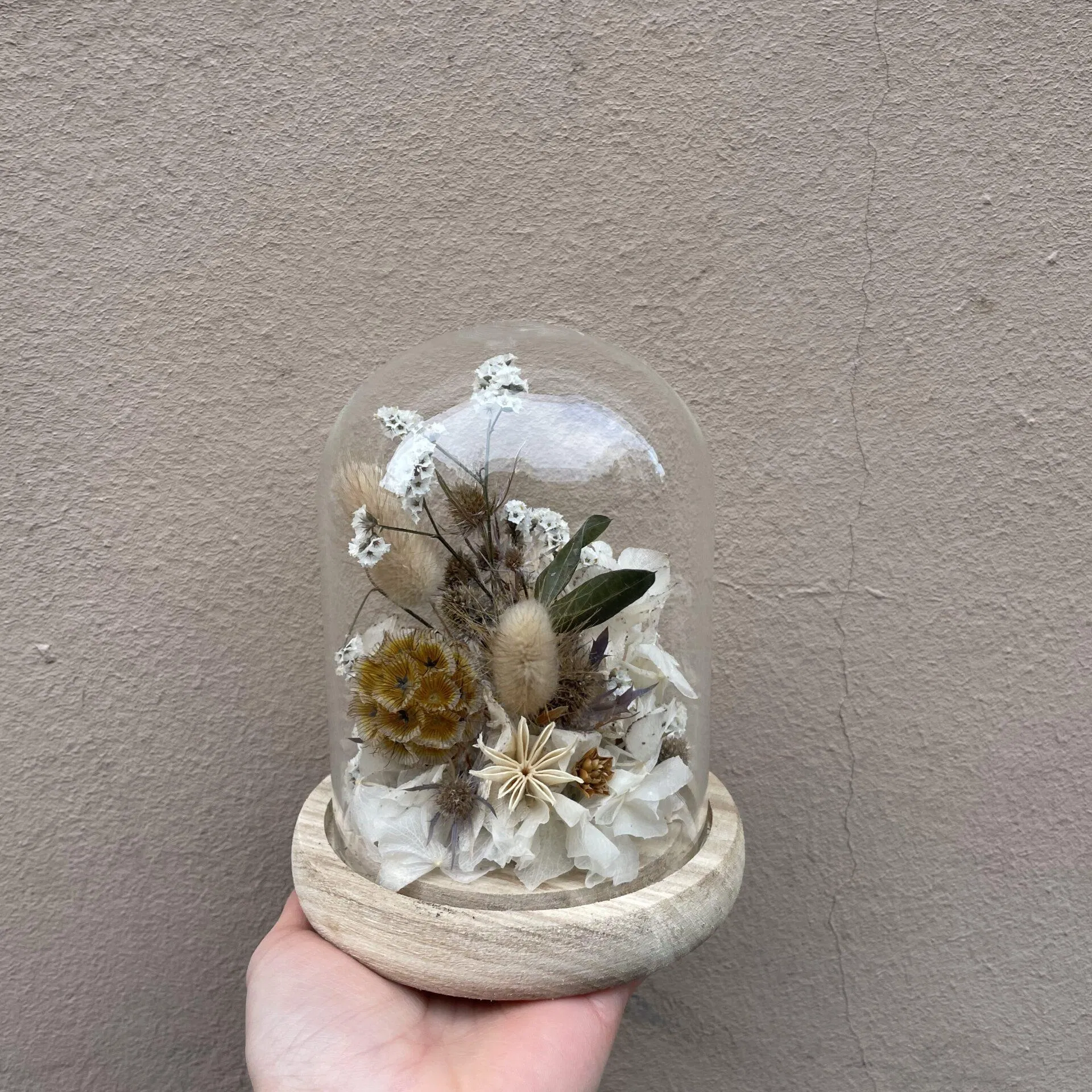 Cloche sous verre de fleurs séchées