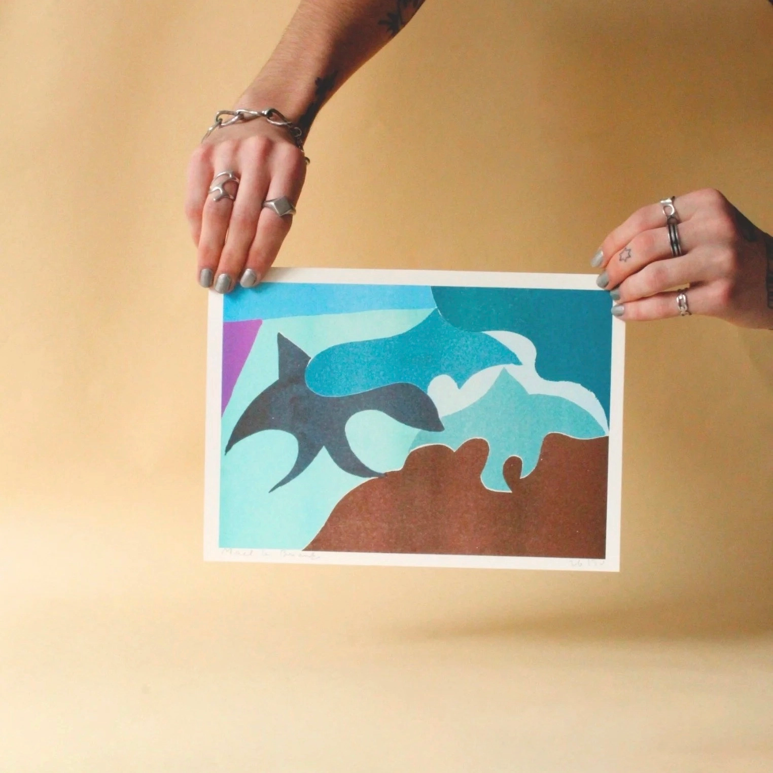 Illustration "Des oiseaux pleins les étoiles" – Maël Le Briand