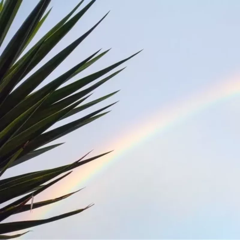 Atelier libre / Sky is the limit