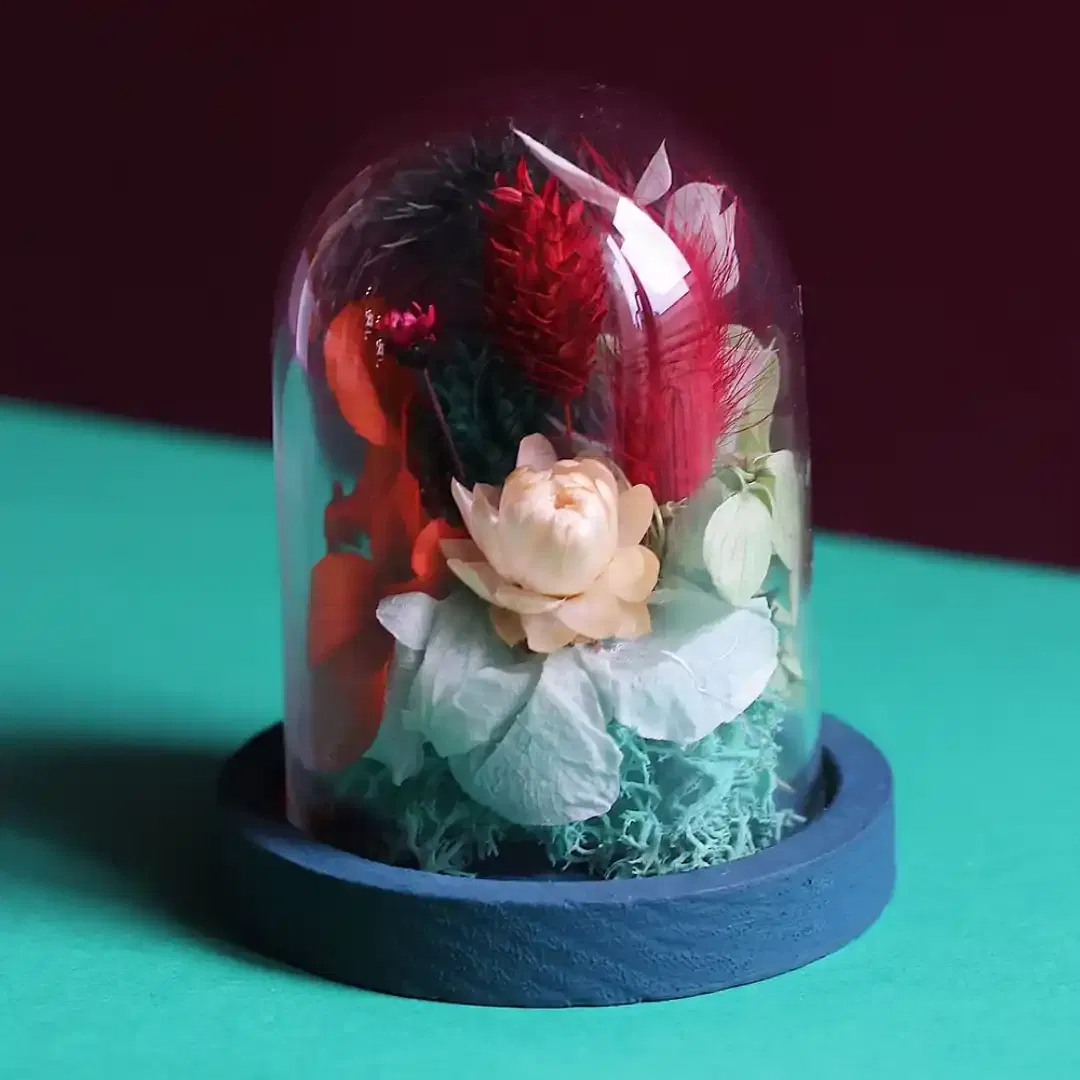 Mini cloche de fleurs séchées
Dimensions : ø 7,5 cm x H 10 cm
Bleu, vert, rouge & blanc avec un socle vert peint à la main