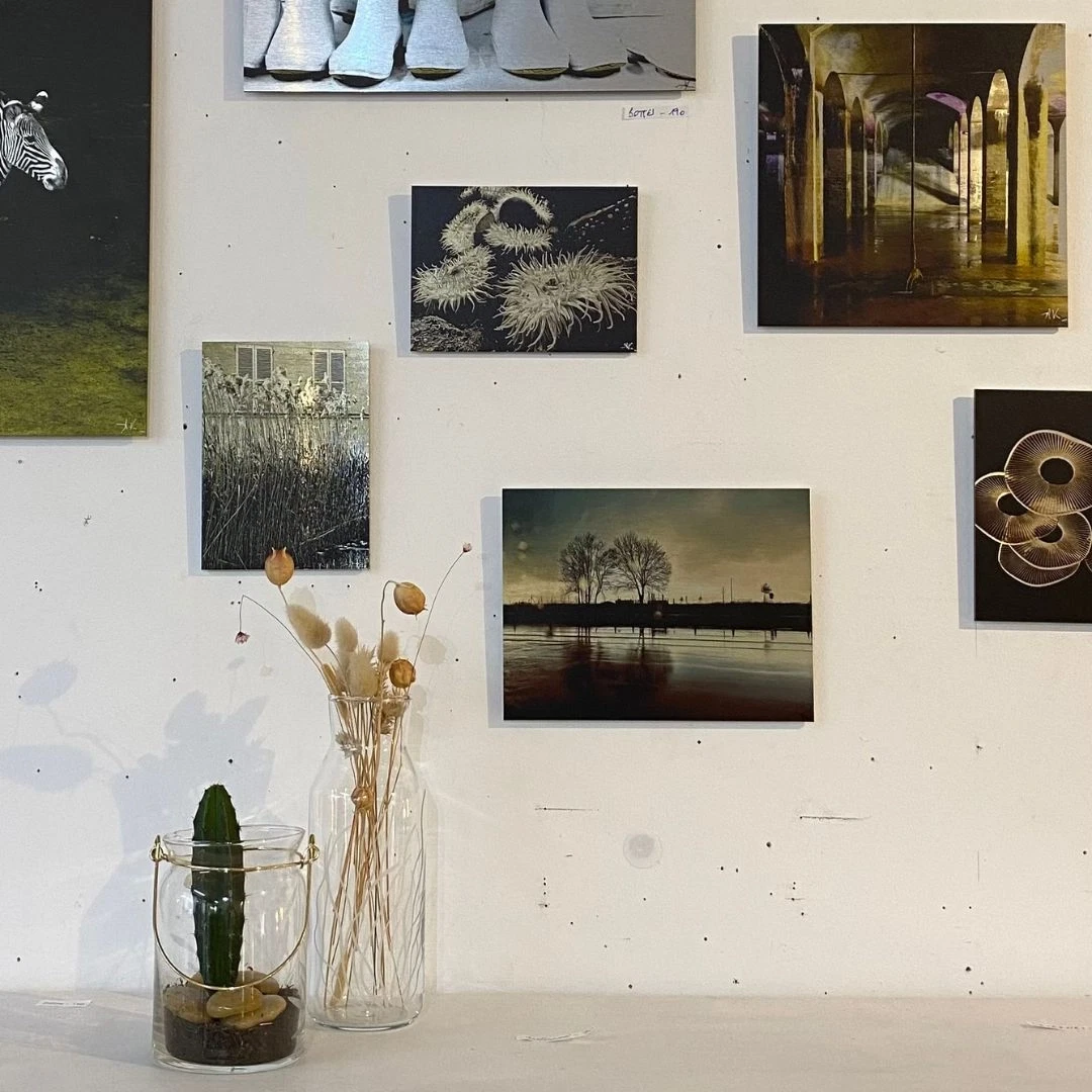 Kaktus Lab, Artiste, Photographe, design