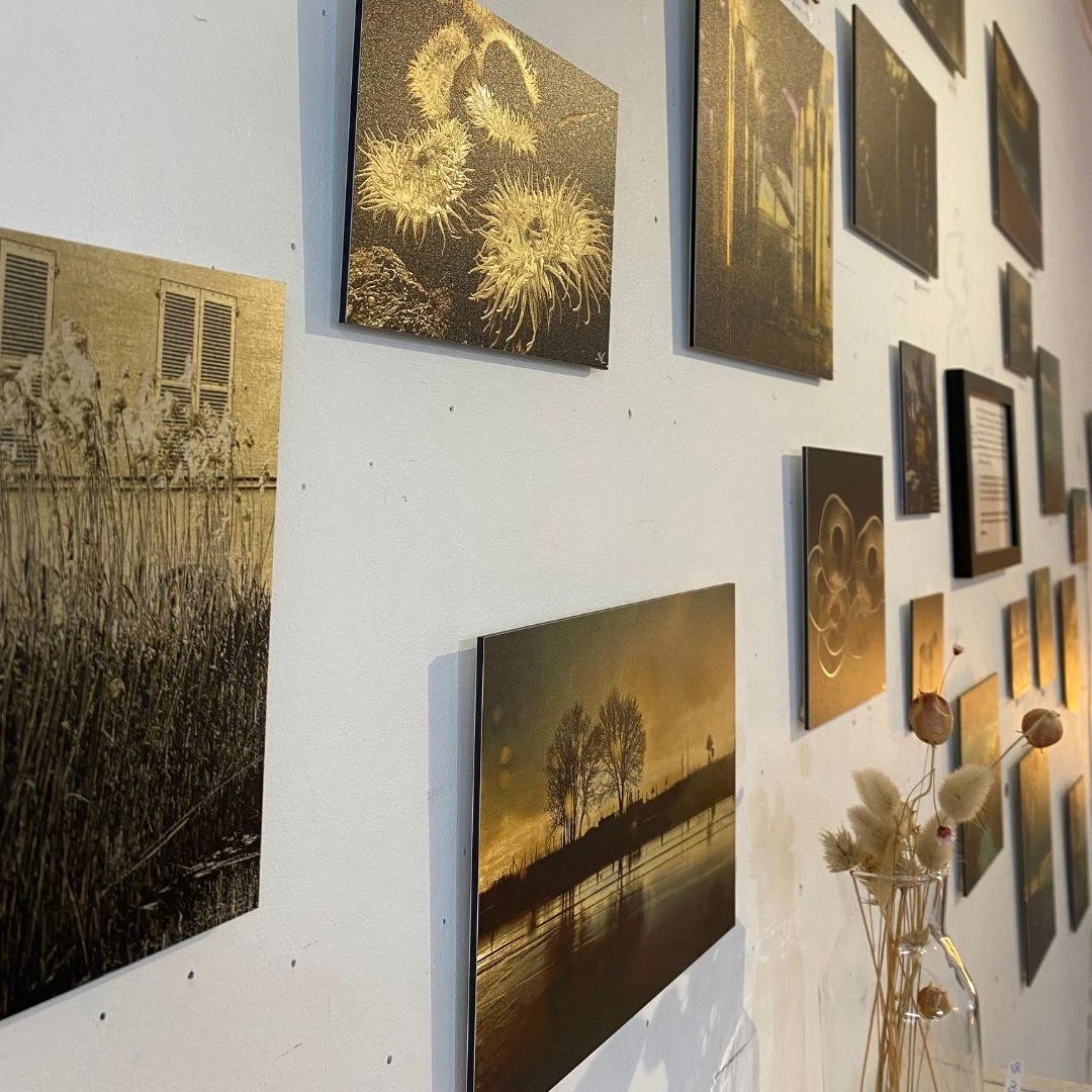 Kaktus Lab, Artiste, Photographe, design