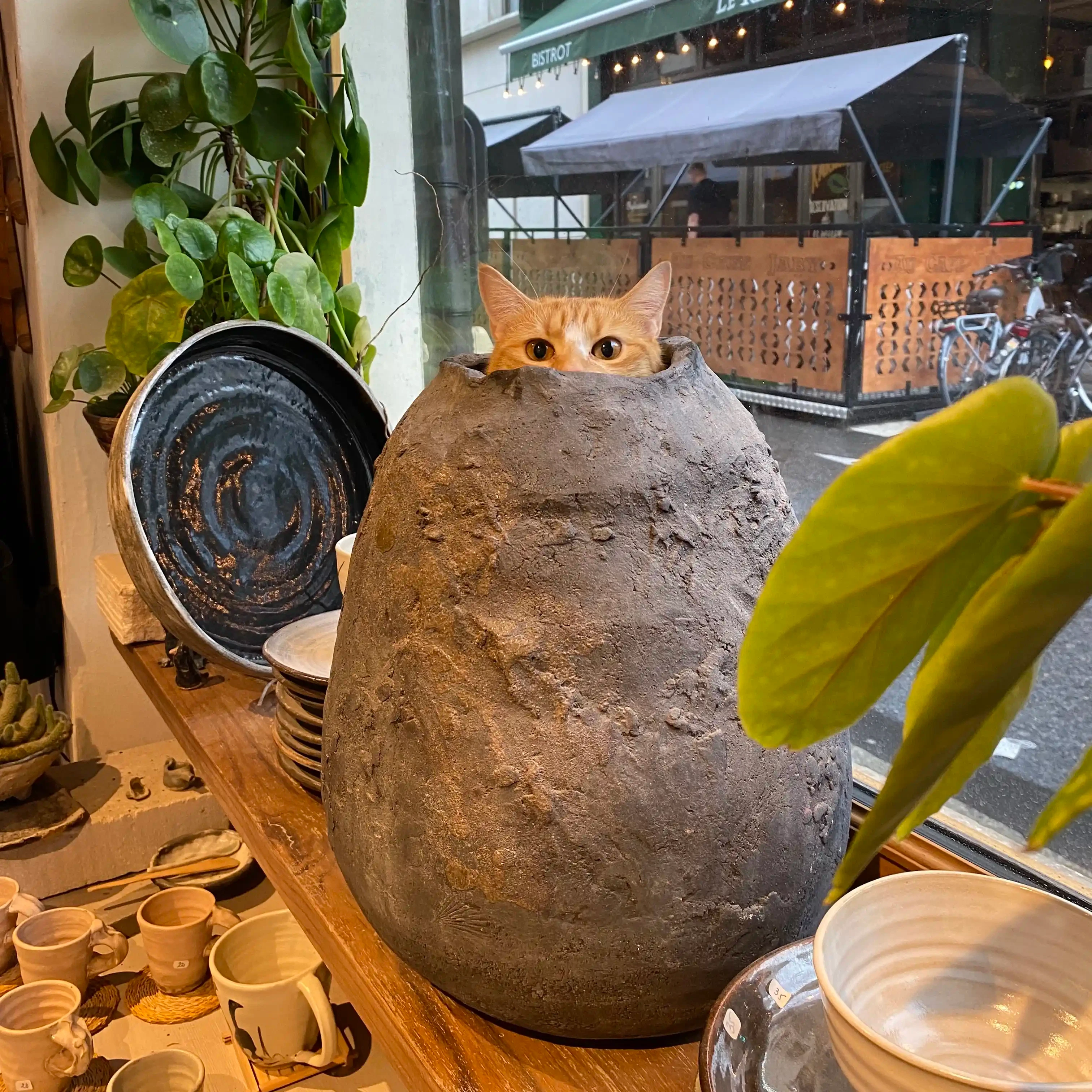 Atelier Emmanuelle Angot, Artisan,Inspiration asiatique,Inspiration ancienne poterie de campagne,Pièces uniques, Ceramics