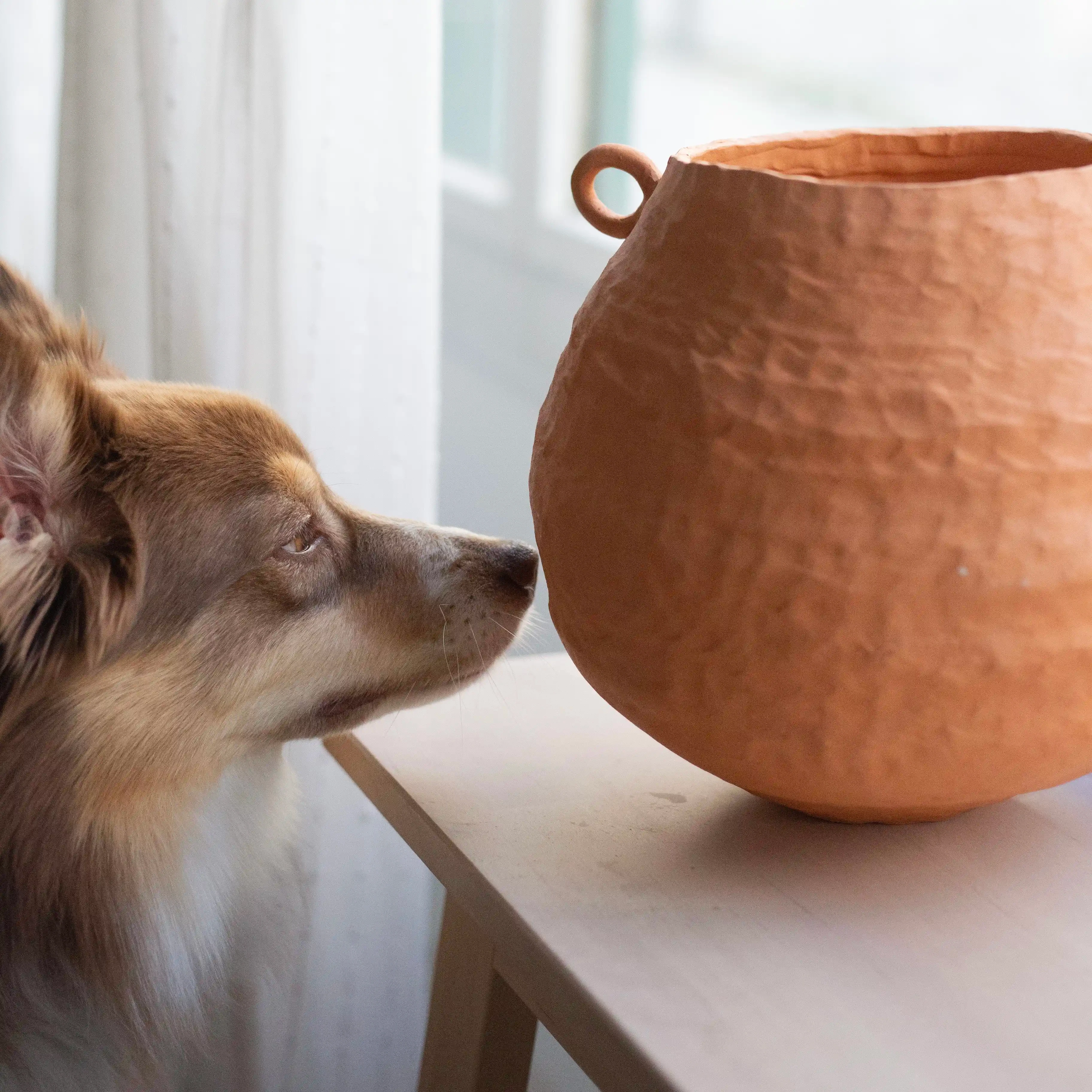 Petit Feu Atelier Céramique Paris 19