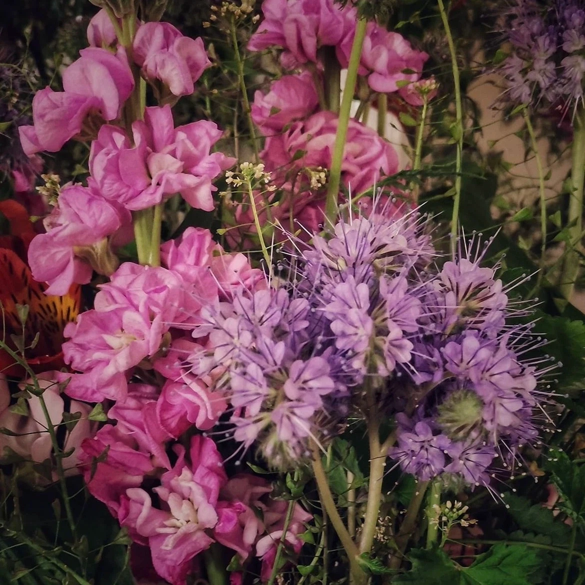 Herbe Pas Si Folle, Artisan, Fleuriste, Pièces uniques, Cours, Design