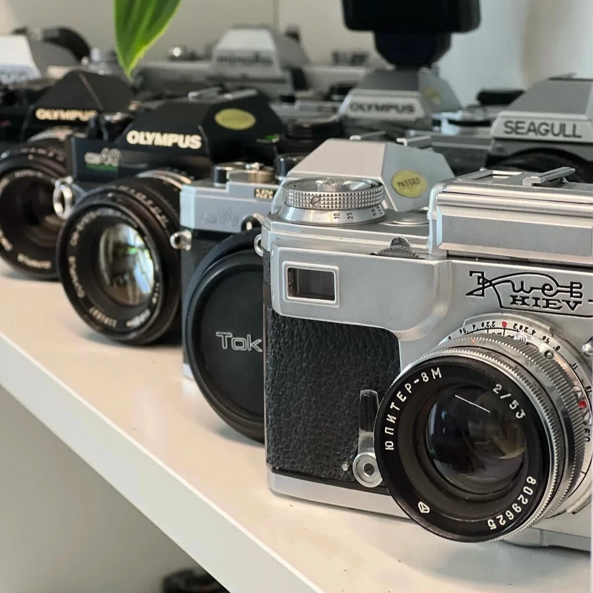 Pelloche Moi, Photographie argentique,Achat-vente,Réparation