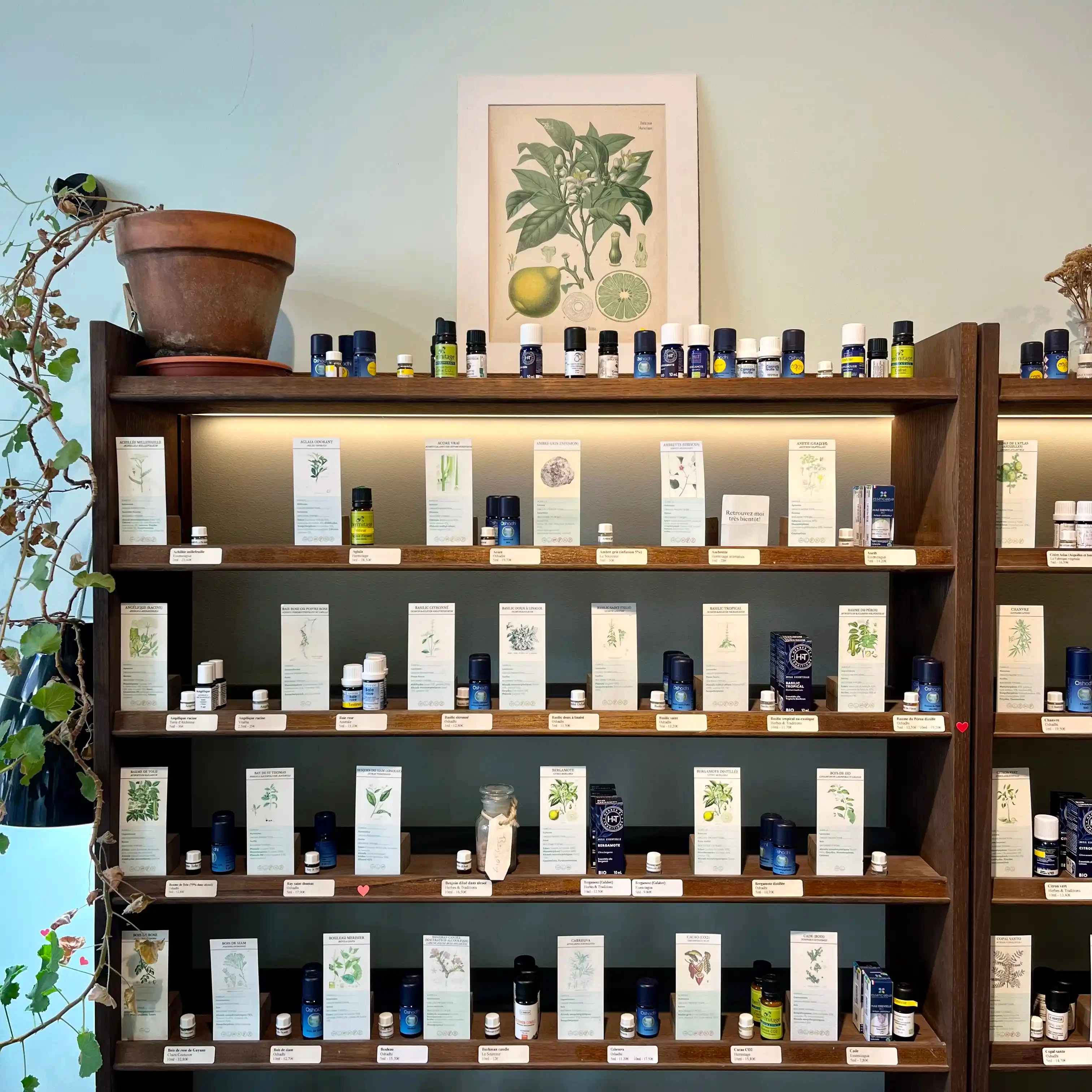 Maison Néroli,Huiles essentielles,Cométiques bio