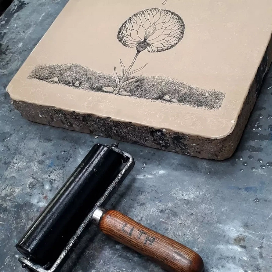 Mue imago,Illustratrice,Sculptrice, Paris 18