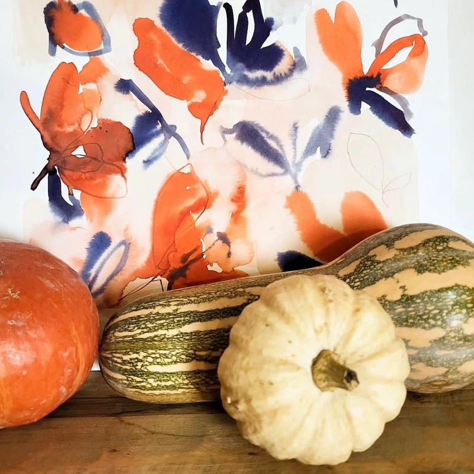 Elise Demozay illustration,Graphiste,Illustratrice